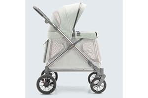 Familidoo Q1 Multi-Use Kids Wagon Stroller – Foldable, Lightweight & All-Terrain for Kids & Pets – 5-Point Safety Harness, Rain Cover & Compact Travel Design – Supports Up to 132 lbs (Sage Green)