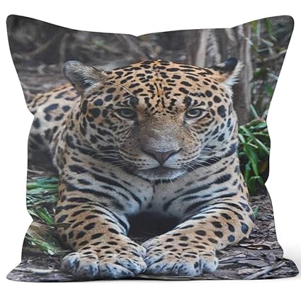 Amazon Com Nine City Hello Kitty Throw Pillow Cushion Cover Hd