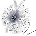 DRESHOW Fascinators Hat Flower Mesh Ribbons Feathers on a Headband and a Clip Tea Party Headwear for Girls and Women