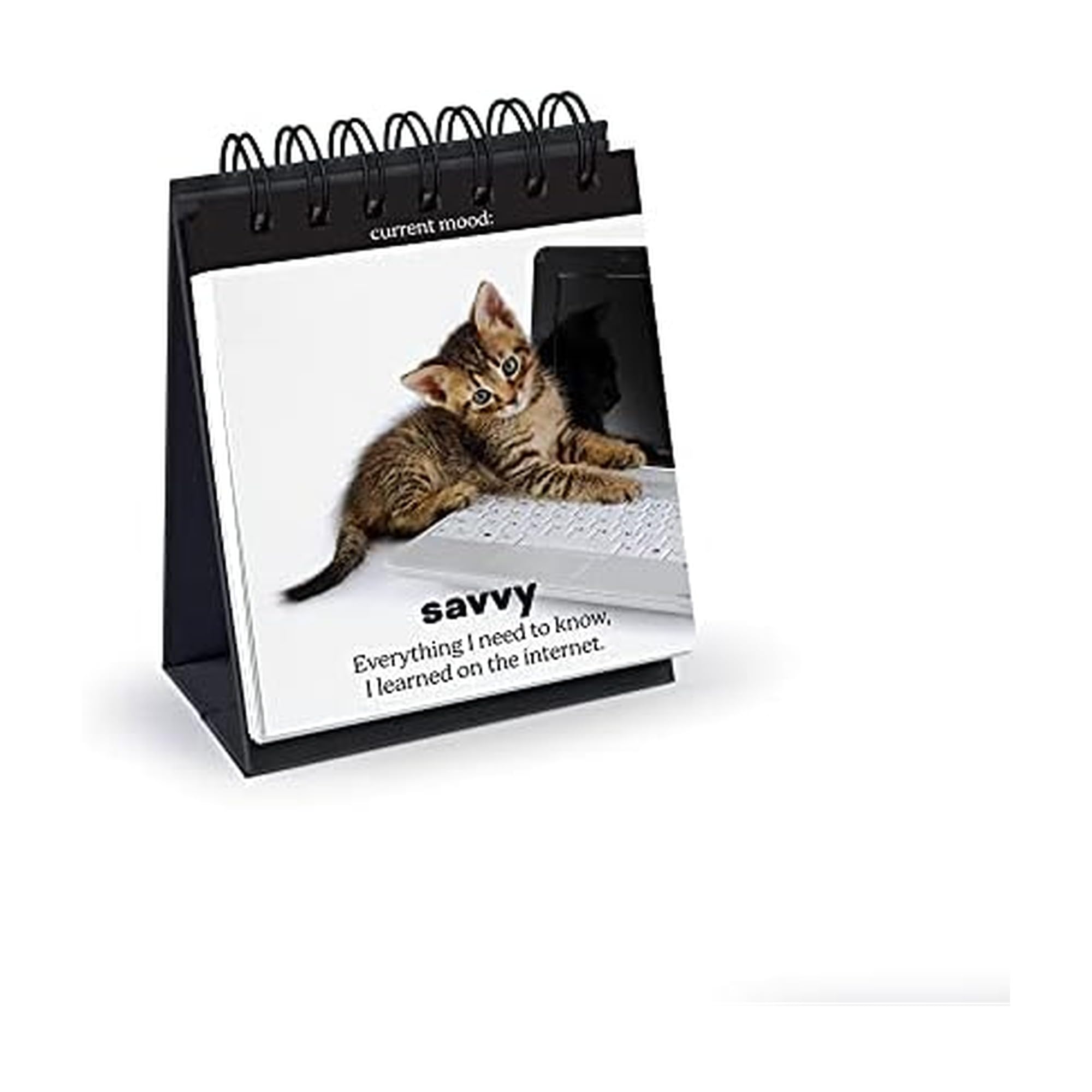 Genuine Fred Daily Cattitude Desktop Flipchart
