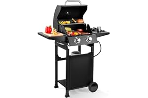 RYHOFOUD Q039-2-Burner Gas Grill with 234 SQ.IN. Outdoor Grill with 16,000 BTU,Propane Grills with Top Cover Lid,Grills Outdoor Cooking for Camping,Balcony,Patios,Garden