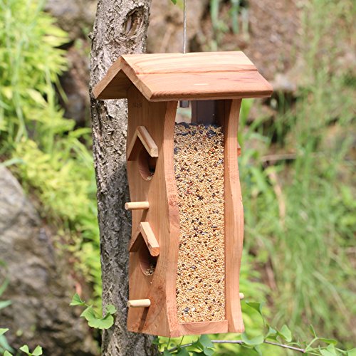 Bird Seed Feeder Station Pole Outdoor Living Garden