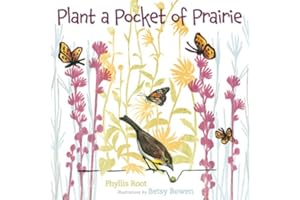 Plant a Pocket of Prairie
