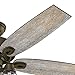 Hunter 53331 Crown Canyon 52 in. Indoor Regal Bronze Ceiling Fan
