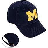 Desert Cactus University of Michigan Baseball Hat UM Wolverines Brimmed Embroidered Cap Adjustable Cloth Strap Adult Type A