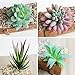 AmyHomie 15 Bundles Artificial Flowers Outdoor UV Resistant Faux Flowers No Fade Fake Plastic Plants Garden Porch Window Box Decorating ( Purple )…