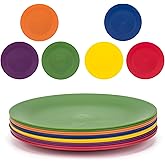 KX-WARE Plastic Plates Set of 12 - Unbreakable and Reusable 9.875 inches Dinner Plates, Multicolor | Dishwasher Safe, BPA Free