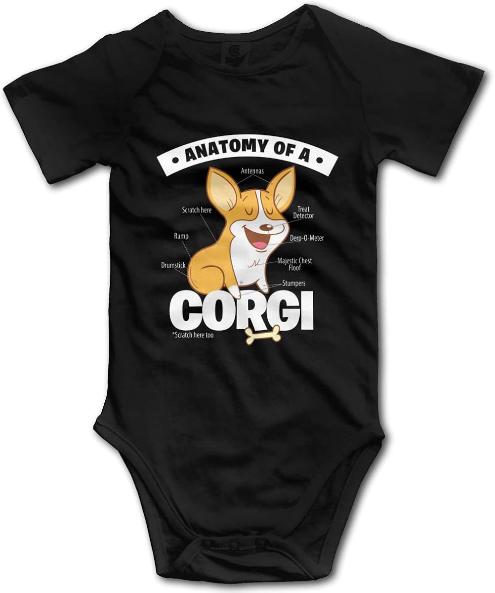 corgi baby clothes