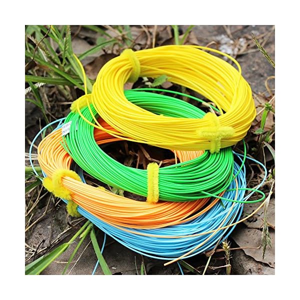 Sougayilang-Fly-Line-100FT-Floating-Weight-Forward-for-Fly-Fishing
