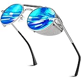 Retro Round Polarized Steampunk Sunglasses Men Women Side Shield Goggles Gothic S92-ADVANCED POLARIZED