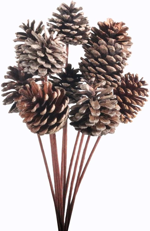 JAROWN 10pcs Pine Cones Dried Plants Flowers Iron Stems