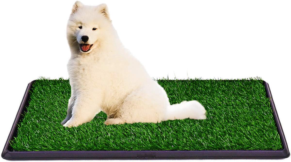 fake grass for puppy training