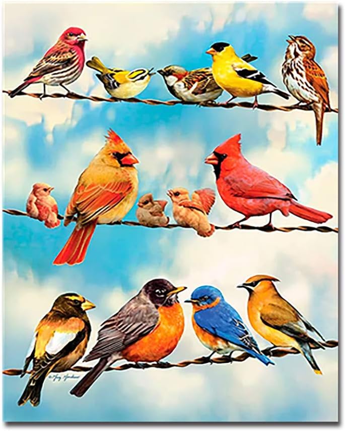 PAINTYTY DIY Malen Nach Zahlen Tiere Vögel Auf Draht