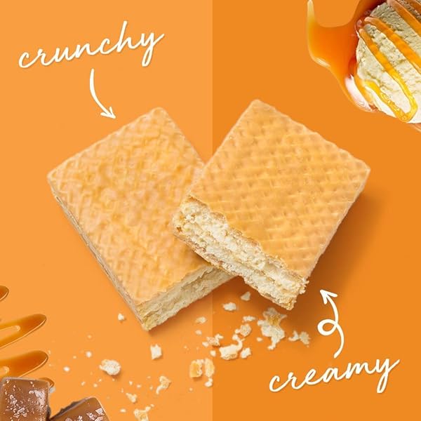 POWER CRUNCH PROTEIN WAFER BARS, HIGH PROTEIN SNACKS WITH DELICIOUS TASTE, SALTED CARAMEL, 1.4 OUNCE (12 COUNT)