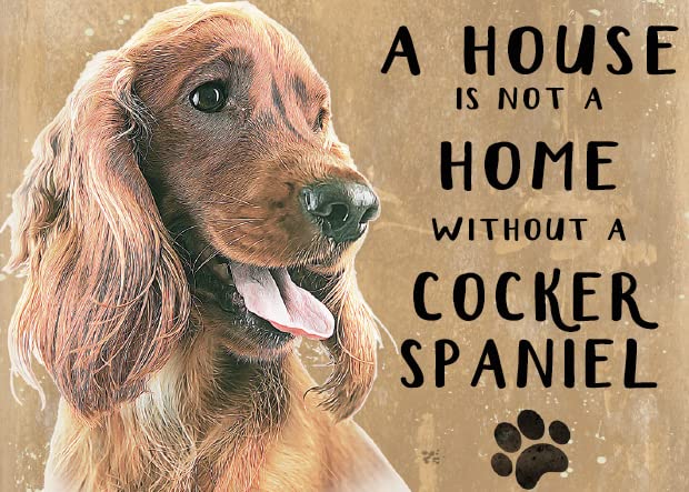 Small (150 x 200mm) Metal Sign - A House is Not a Home - Cocker Spaniel, red/brown