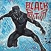 Marvel Black Panther Birthday Party Pack for 16 with Plates, Napkins, Cutlery, and Tablecover.