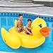 Inflatable Duck Float & Pool Raft - HUGE 80