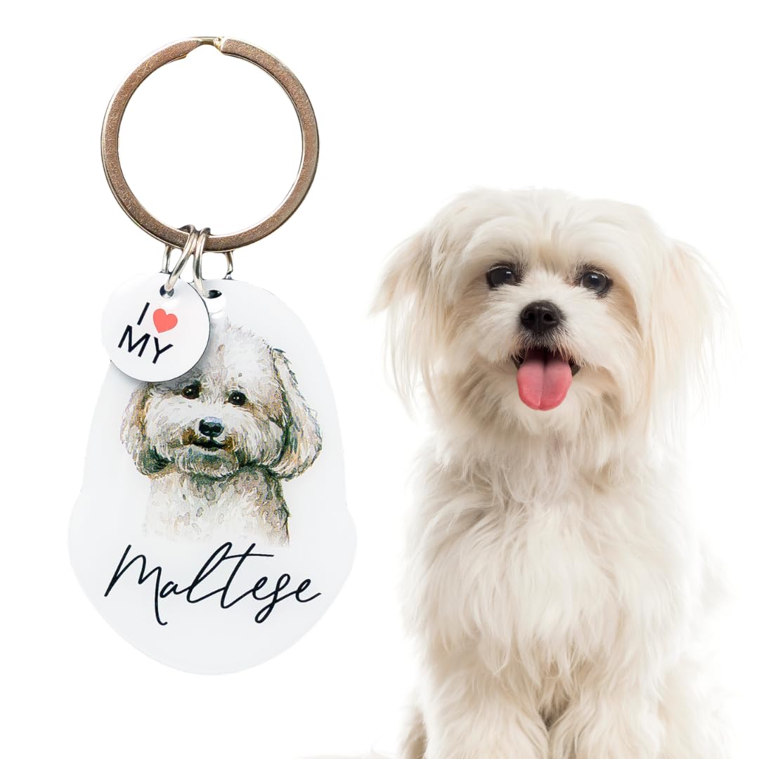 Splosh Pet Keyring Maltese. Personalised Keyring. Dog Key Ring Personalised Gifts. Customised Gifts Dog Key Chain. Key Rings for Dog Lovers. Dog Accessories, Dog Key Tags. (PTK018)