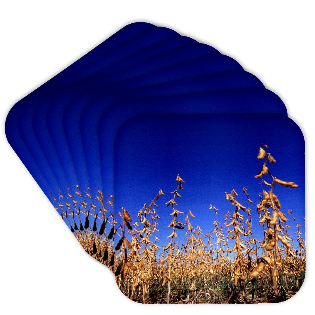 3dRose Flag, White, set-of-8-Soft