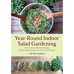 Year-Round Indoor Salad Gardening: How to Grow Nutrient-Dense, Soil-Sprouted Greens in Less Than 10 days