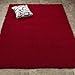 Cozy Shag Collection Red Solid Shag Rug (3'3