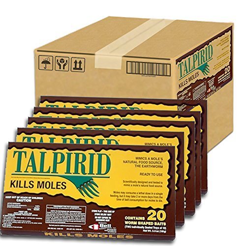 Talpirid Mole Worms - 5 Boxes (100 Worms) by Talpirid