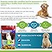 Particular Paws Omega 3,6,9 for Dogs - Treats - All-Natural Omega Flax Seed, Chia Seed and Fish - Supports Immune System, Heart Health and Shiny Coat - 65 Soft Chews