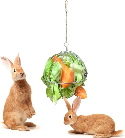 Amazon Com Volwco Stainless Steel Bunny Hay Feeder Ball For