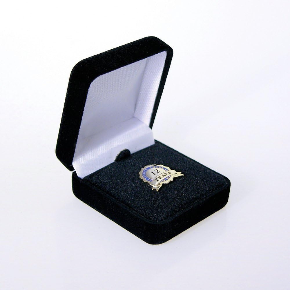 Anniversary Lapel Pin Service Award Blue Ribbon 12