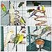 Yaheetech 62-inch Wrought Iron Rolling Large Bird Cages for African Grey Mid-Sized Parrots Cockatiels Sun Parakeet Green Cheek Conure Lovebird Budgie Bird Cage with Stand (Renewed)thumb 3