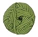 Red Heart  Soft Yarn, Guacamole