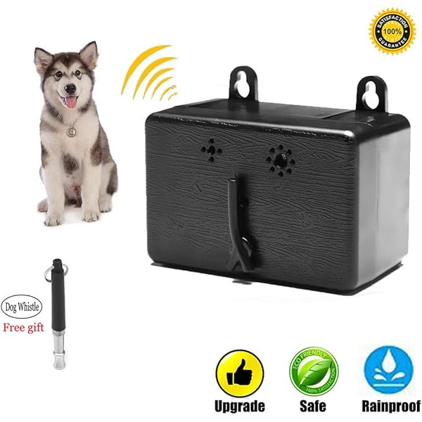 bird box dog barking