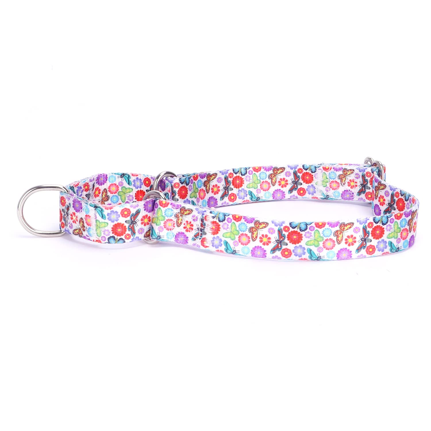 haoyueer Heavy Duty Nylon Adjustable Martingale Dog Collar for Walking Training Boy and Girl Dogs (XL:53-62CM, Butterfly) — image 1