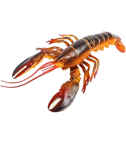 Amazon.com: Hiawbon 13 Inch Realistic Lobster Figure - Plastic