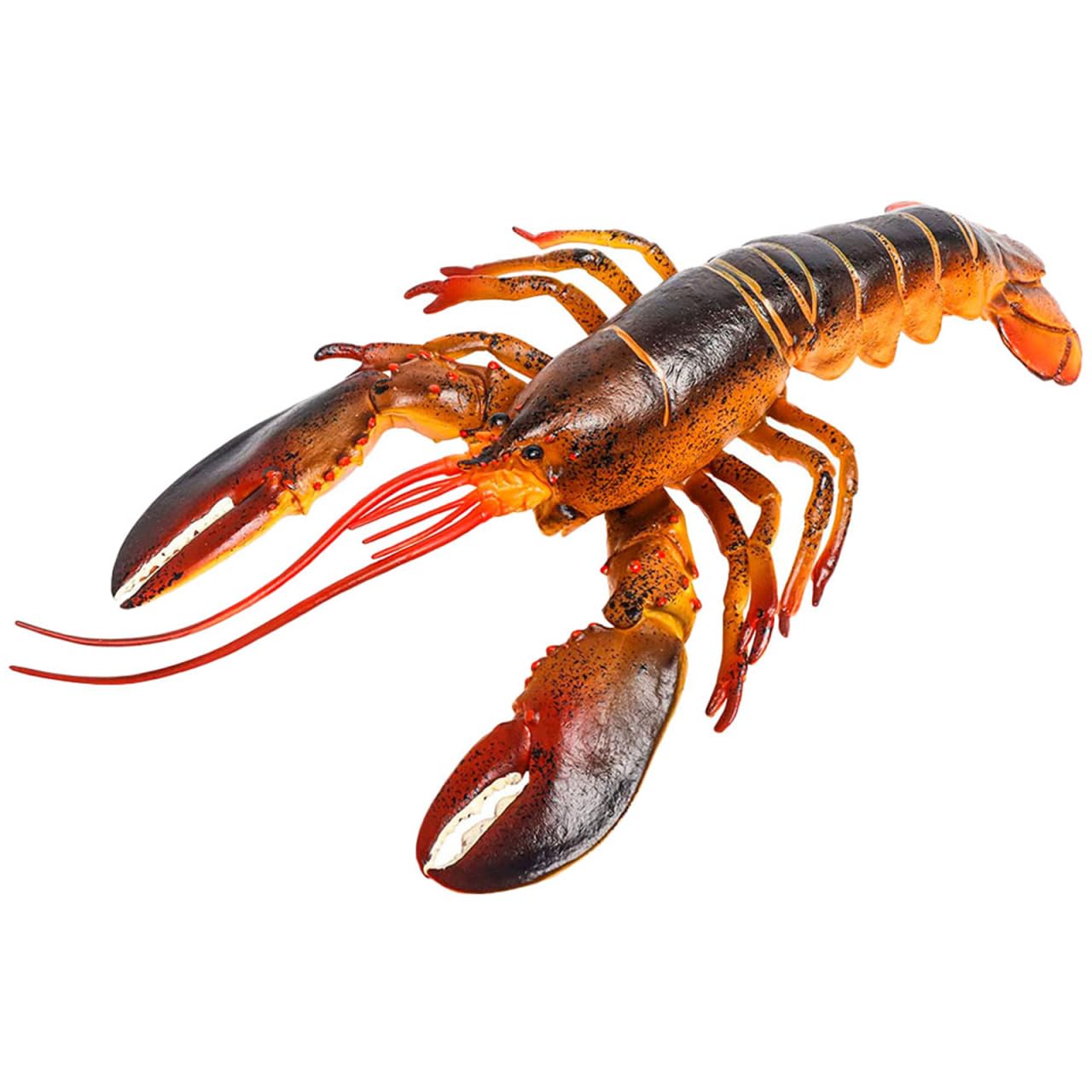 BESPORTBLE Realistic Lobster Model Artificial Lobster Figurine for Educational Use Aquarium Decoration and Home Decor Lobster Simulation