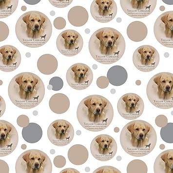 full grown mini whoodle