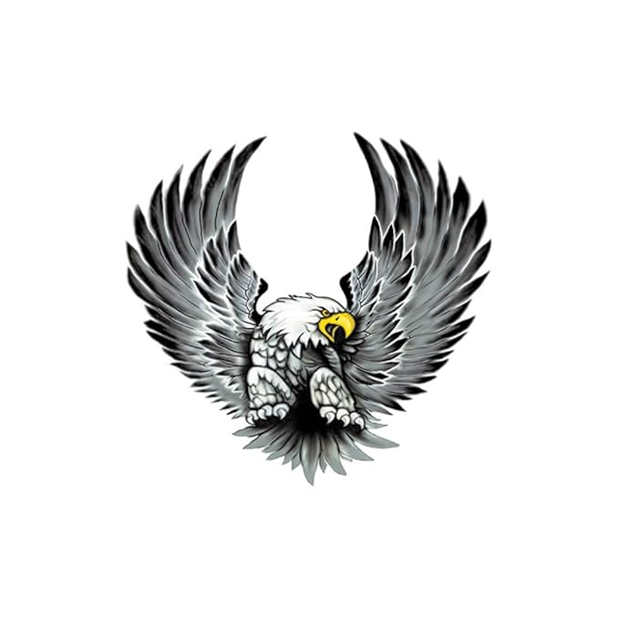 Sticker set Eagles 2x 15x14,5cm Amazon.co.uk Car & Motorbike