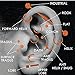 BodyJ4You 8PC Ball Closure Piercing Ring BCR 14G Steel Ear Lobe Tragus Daith Nose Septum Lip Nipple