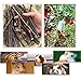 sharllen 300g(10.5oz) Apple Sticks (About 90 Sticks) Pet Chew Toys for Rabbits Chinchilla Guinea Pigs by