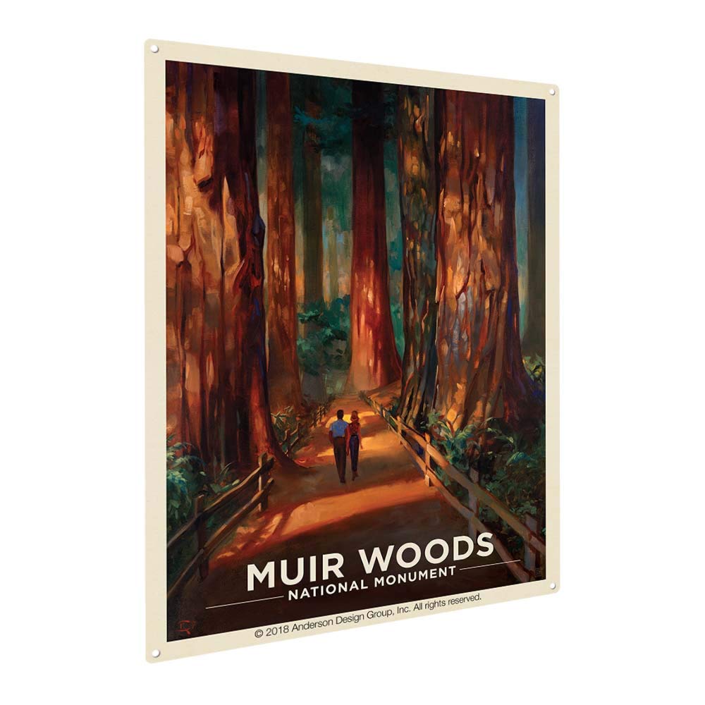 Amazon Com Anderson Design Group Muir Woods Magic 9 X12 Metal