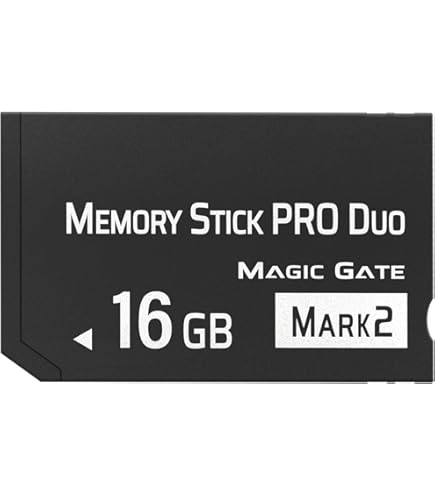 Amazon.com: Original 8GB Memory Stick Pro Duo MARK2, High-Speed