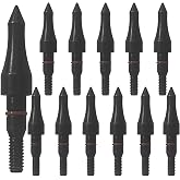 EOOENOON Archery Broadhead Arrow Points,Stainless Steel Bullet Tip, Screw-in, 100/125/150/200 Grain, 5/16 Inch, for Recurve Bow, Compound Bow, Crossbow