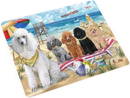 pet friendly blanket