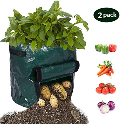 Albabara Plant Grow Bags 7 Gallon Potato Garden DIY Patios Vegetables Durable Planter Bag with Flap Handles and Heavy Duty for Harvest Rising Tomato, Carrot, Taro and Onions, Atrovirens 2 Pack