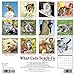 What Cats Teach Us 2016 Calendar