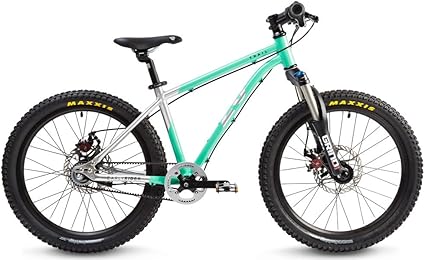 early rider belter 16 trail