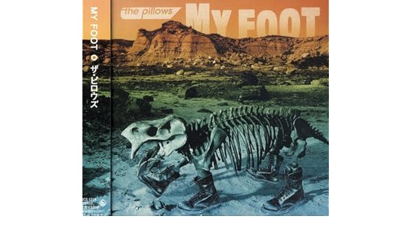 Pillows My Foot By Pillows 2006 01 17 Amazon Com Music