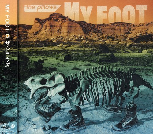 My Foot By The Pillows 2006 01 17 Amazon Com Music