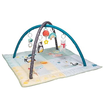 taf toys baby gym
