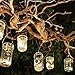 Anpatio 12pcs Mason Jar Hangers Hooks Stainless Steel Wire Handles Hanging Mason Ball Canning Jars Solar Light for Wedding Garden Porch Yard Patio Decoration Silver